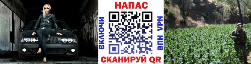 Шишки марихуана OG Kush  Купить  Пошехонье 